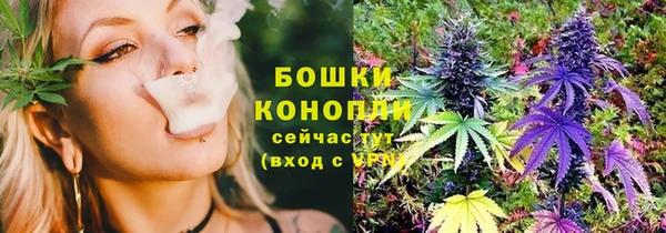 шишки Богданович